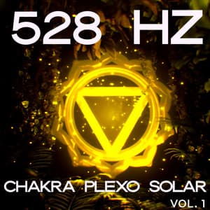 528Hz Chakra Plexo Solar, Vol. 1 - HOANG TI