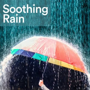 Soothing Rain - 24H Rain Sounds