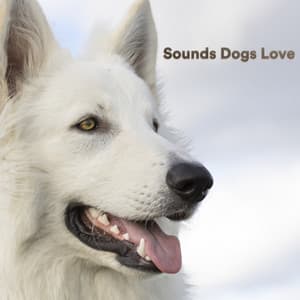 Sounds Dogs Love - Sounds Dogs Love