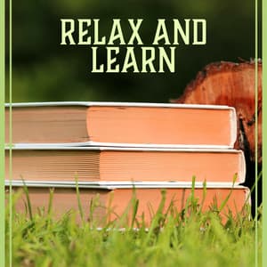 Relax and Learn – Perfect Concentration, Acoustic Calm, Study Music, Mind Training & Focus - Improving Concentration Music Zone
