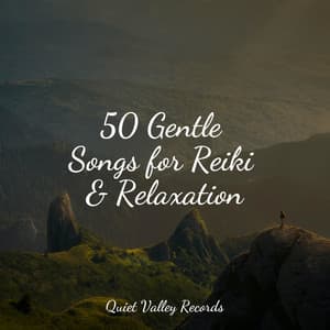 50 Gentle Songs for Reiki & Relaxation - Relaxation