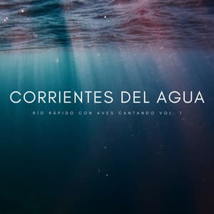 Corrientes Del Agua: Río Rápido Con Aves Cantando Vol. 1 - Lluvia PQ
