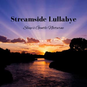 Streamside Lullabye: Sleep's Gentle Nocturne - Deep Sleep Vacuum Cleaners