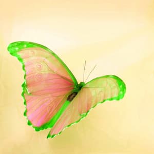 Backdrop for New Moods - Coffeehouse Jazz