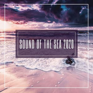 Sound of the Sea 2020: Gentle Ocean Waves, Soothing Sounds to Study and Relax - Seashore Waves