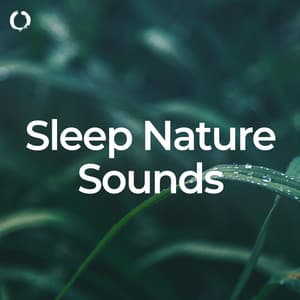 Sleep Nature Sounds - The Nature Soundscapes