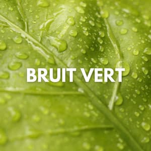 Bruit Vert - Bruit Blanc Silencieux