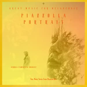 Piazzolla Portrait - Great Musci for Melancholy - New Music Series from Classical Hits - Schola Camerata Soloist - Astor Piazzolla