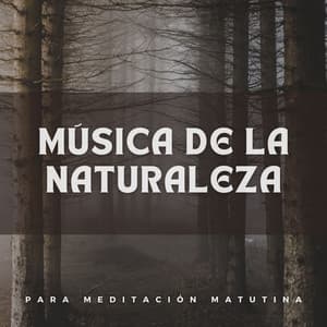 Música De La Naturaleza Para Meditación Matutina - Naturaleza del Himalaya