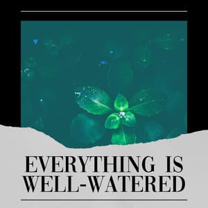 Everything Is Well-watered - Rainforest Sounds