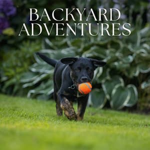 Backyard Adventures - Music For Dogs