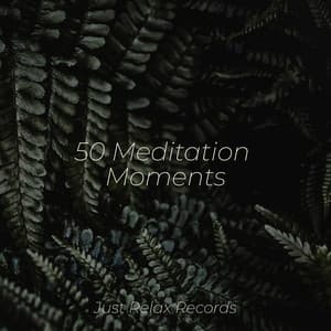 50 Meditation Moments - Meditación Guiada