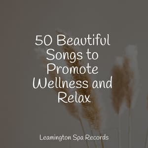 50 Beautiful Songs to Promote Wellness and Relax - Guided Meditation