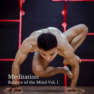 Meditation: Balance of the Mind Vol. 1 - Acupuncture Music