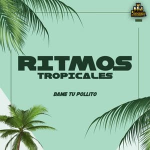 Dame Tu Pollito - Ritmos Tropicales