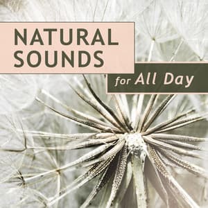 Natural Sounds for All Day: Peaceful Music for Zen Garden, Amazing New Age Music for Relaxation, Meditation Music Experience - Natural Therapy Music Academy