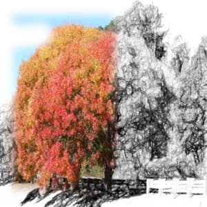 Best White Noise Spa Collection - Spa