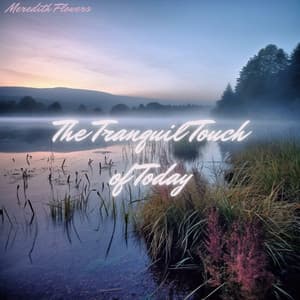 The Tranquil Touch of Today - Meredith Flowers