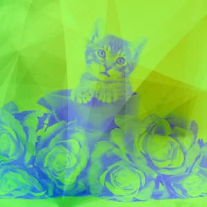 Simple Latin Trumpet - Ambiance for Relaxing Pet Sounds - Cat Music Waves