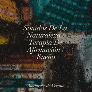 Sonidos De La Naturaleza | Terapia De Afirmación | Sueño - Musica para Meditar