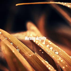 Morning Activity - Afternoon Jazz Playlist