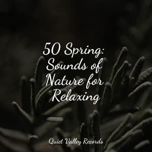 50 Spring: Sounds of Nature for Relaxing - Namaste Yoga