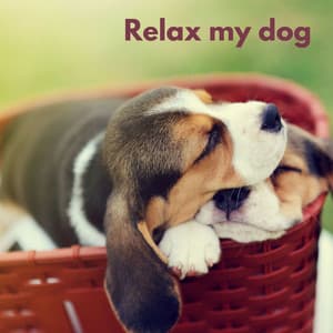 Dog Chill - Music For Dog Relaxation