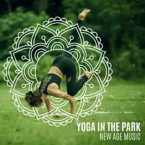 Yoga in the Park: New Age Music and Class for Beginner, Your Healthy Routine - Healing Yoga Meditation Music Consort
