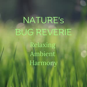 Nature's Bug Reverie: Relaxing Ambient Harmony - Nature TV