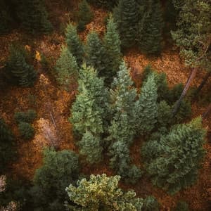 Colic Sleep Brown Noise - Sleepy Sounds