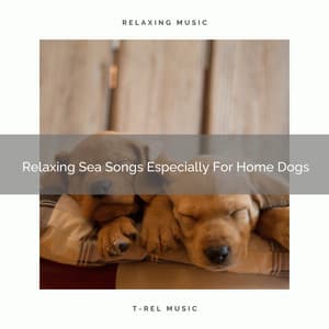 Relaxing Sea Songs Especially For Home Dogs - Pets Relax