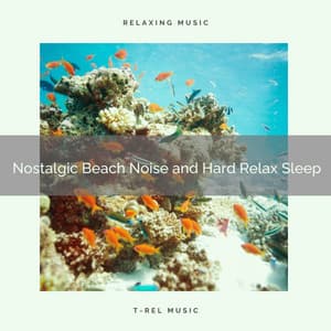 2020 Best: Nostalgic Beach Noise and Hard Relax Sleep - Ocean Makers
