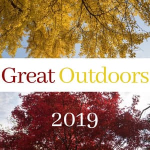 Great Outdoors 2019 - Nature Sounds to Disconnect - Natural Element