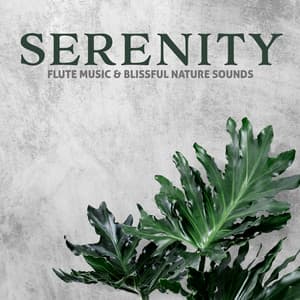 Serenity Flute Music & Blissful Nature Sounds - Sweet Musical Escape