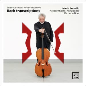 Bach Transcriptions: Six Concertos for Violoncello Piccolo - Johann Sebastian Bach