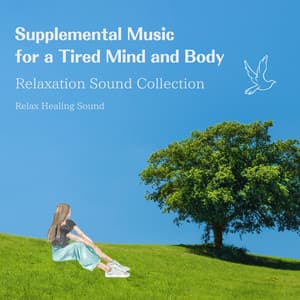 Supplemental Music for a Tired Mind and Body - Relaxation Sound Collection - RelaxHealingSound