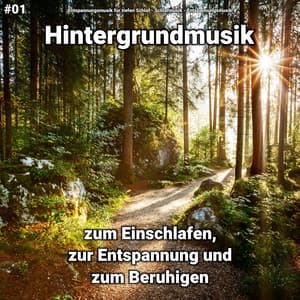 #01 Hintergrundmusik zum Einschlafen, zur Entspannung und zum Beruhigen - Entspannungsmusik für tiefen Schlaf