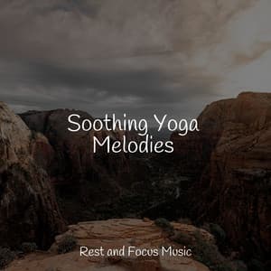 Soothing Yoga Melodies - Classical Study Music