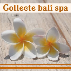 Collecte bali spa - Bien-être Spa Musique Collection