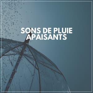 Sons De Pluie Apaisants - Chute de Pluie