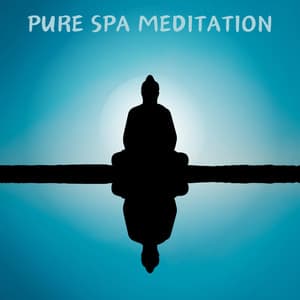 Pure Spa Meditation - Zen Spa Zen Relaxation Zen Massage