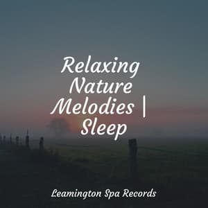 Relaxing Nature Melodies | Sleep - Nature & Sounds Background