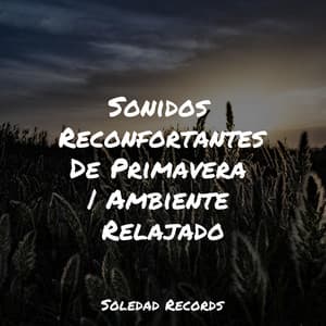Sonidos Reconfortantes De Primavera | Ambiente Relajado - Musica Relajante Piano Master