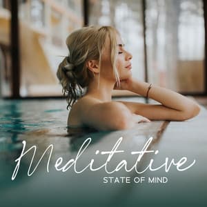 Meditative State of Mind - Mindfulness Meditation Music Spa Maestro