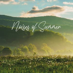 Noises of Summer: Calm Sounds of Summer for Better Sleep - Soothing Chill Out for Insomnia