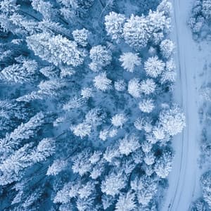 Better Sleep Pink Noise - Fan Noise for Sleeping