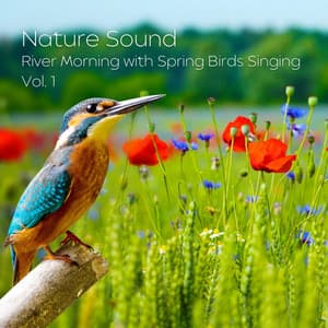 Nature Sound: River Morning with Spring Birds Singing Vol. 1 - Spa Atmospheres