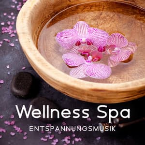 Wellness Spa Entspannungsmusik: New Age Meditationsmusik für Massage, Badewanne, Stressabbau - Entspannende SPA Musik Zone