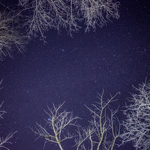 50 White Noise Sounds For Sleeping: Restful Breeze - White Noise