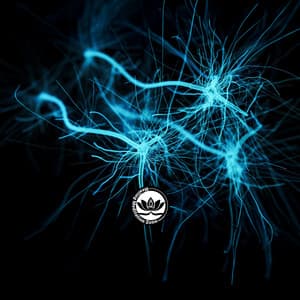 Perfectly Balanced GABA Neurotransmitter - Healing Meditation Zone